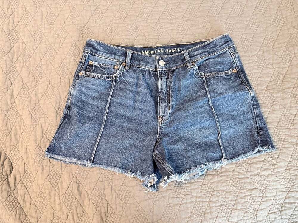 American Eagle High Waisted Denim Shorts Frayed Seam Front Blue Cutoffs S 10

AD